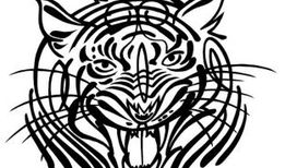 91猛虎直播,揭秘网红直播背后的精彩故事